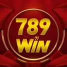 789Win105 com – Tiền thưởng bí ẩn ngày 12 hàng tháng