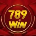 789Win106 com – Nạp tiền lần đầu tặng thưởng free 158%